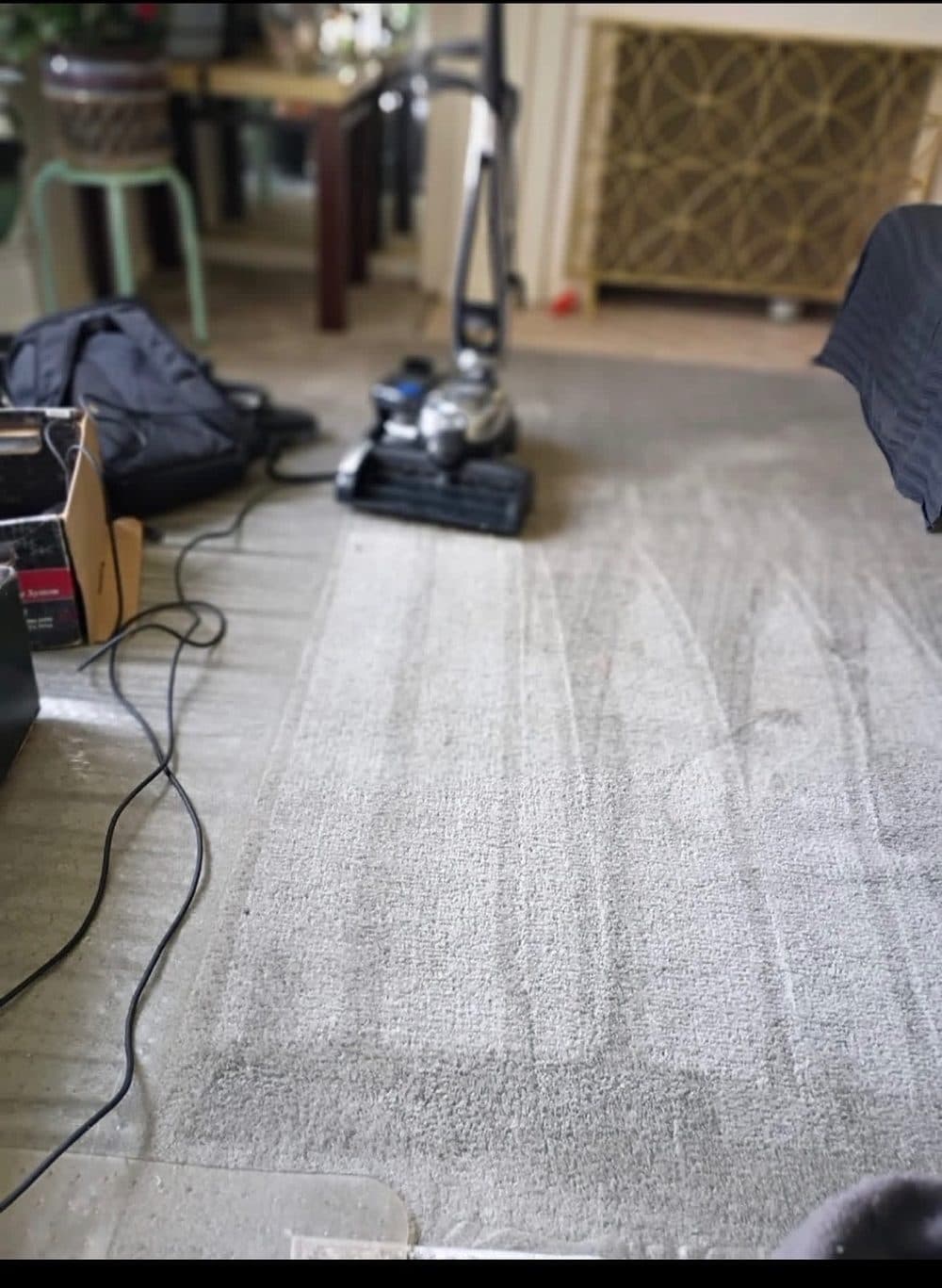 Freshly cleaned carpet with straight pass lines