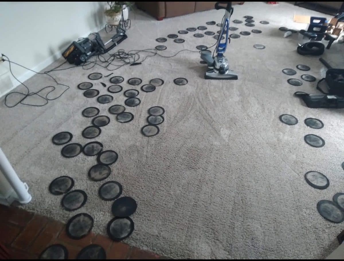Dozens of dark, dirty filter pads laid out across a beige carpet after cleaning