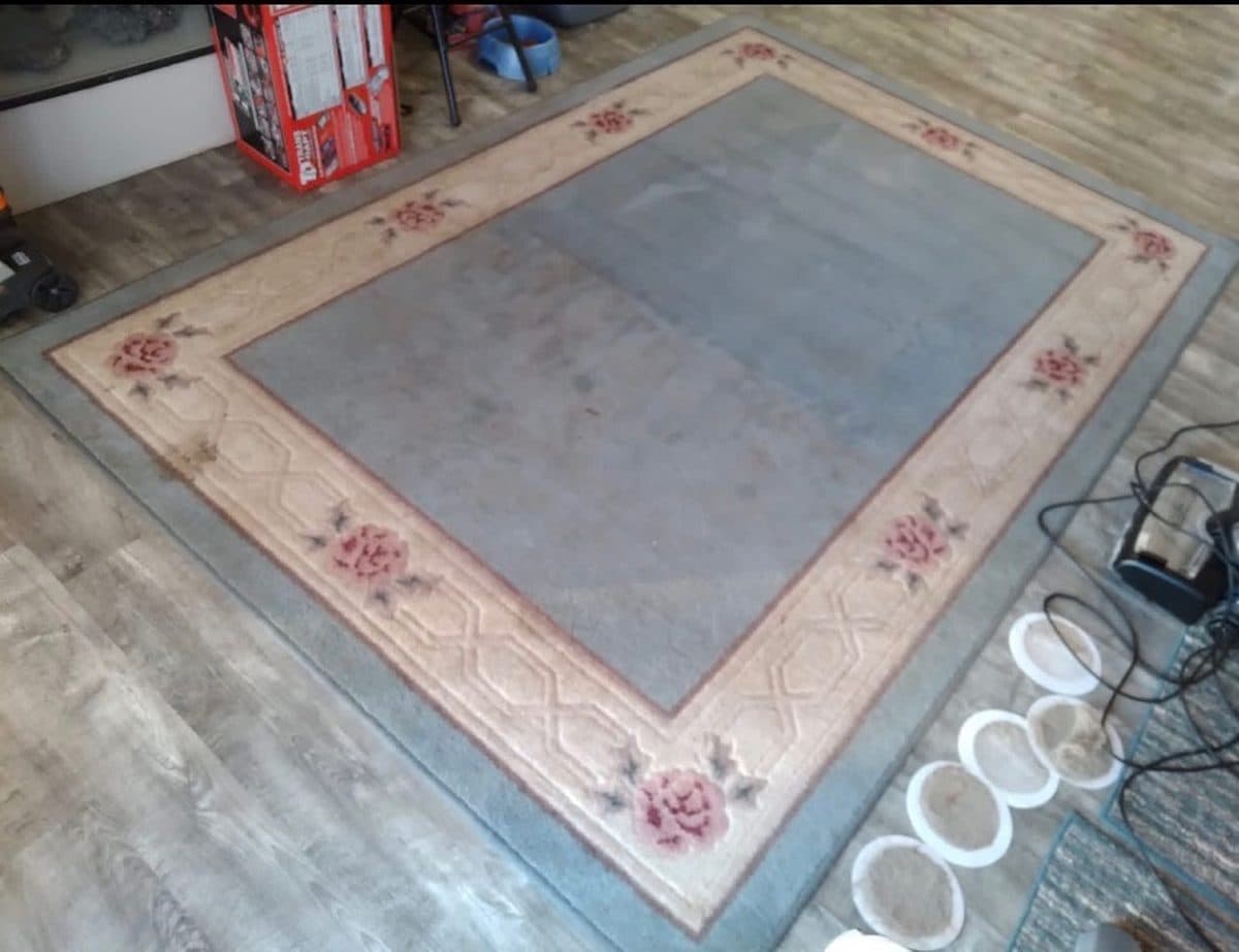 Dirty filter pads arranged along the edge of a floral area rug