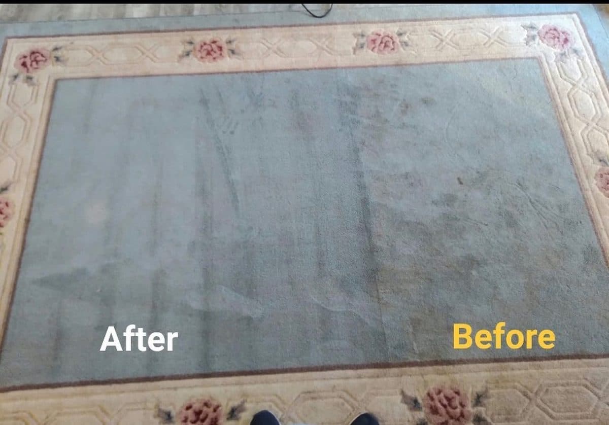 An area rug with the cleaned left half noticeably brighter than the uncleaned right half